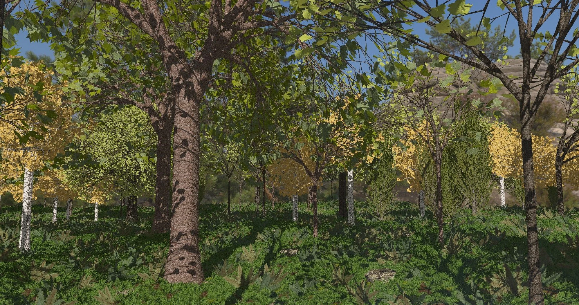 Screenshot of the Forest Generator application